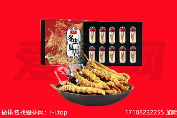 黔西南普安县回收虫草.jpg